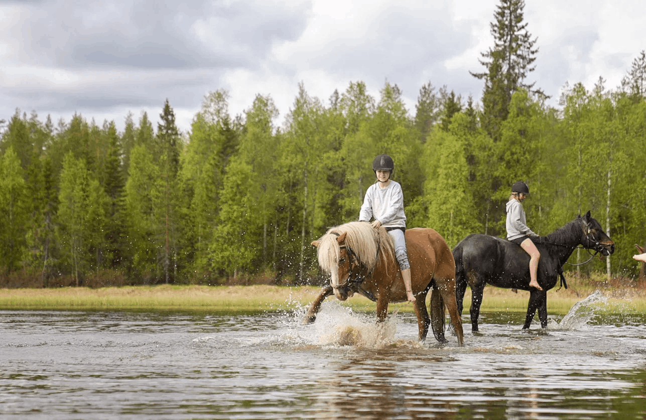 Picture Idea: Full Day Horseback Ride In Lapland Wilderness Advanced Riders